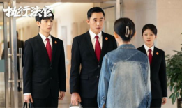 法官电视剧,正义的守护者