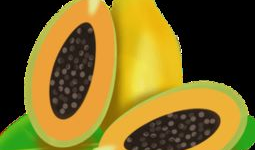 吃瓜爆料素材图片大全高清,高清素材图中的吃瓜爆料大揭秘