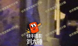 吃瓜爆料秦霄贤孟子义,娱乐圈的瓜田奇遇记