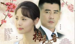梅花 电视剧,风华绝代，谱写乱世佳人传奇