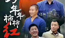 年年岁岁柿柿红电视剧,岁月流转中的家国情怀与爱情传奇