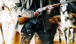 大漠枪神电视剧全集,烽火岁月里的英雄传奇