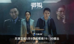 大案电视剧有哪些,揭秘电视剧中的惊心动魄刑侦故事