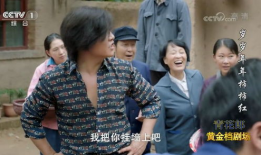 年年岁岁柿柿红电视剧,岁月流转中的家国情怀与爱情传奇